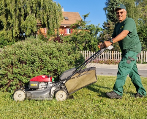 Rasenpflege