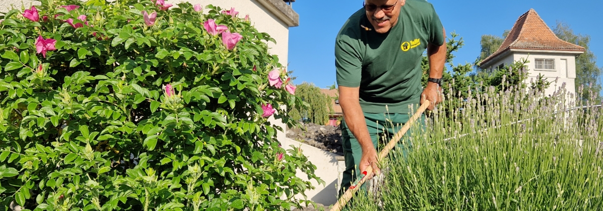 Gartenpflege Unterhaltsarbeiten