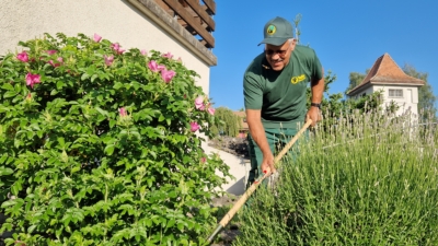 Gartenpflege Unterhaltsarbeiten