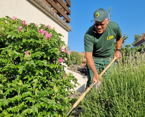Gartenpflege Unterhaltsarbeiten