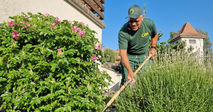 Gartenpflege Unterhaltsarbeiten