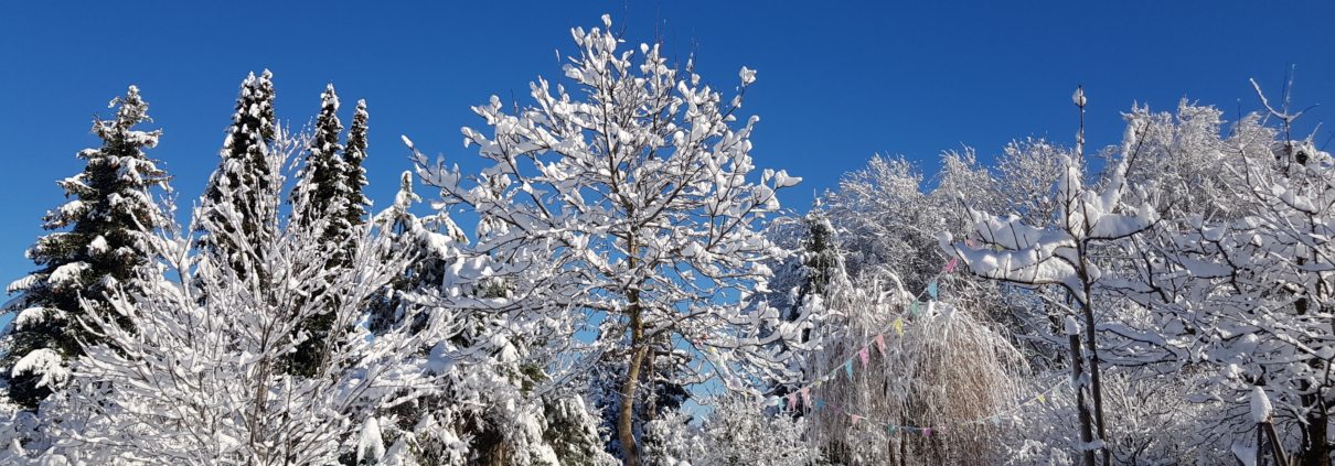 Winterschnitt Gartenbau