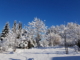 Winterschnitt Gartenbau