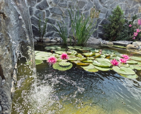 Schwimmteich Schwarzenburg