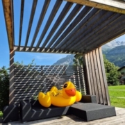 Biopool Holzschattierung Meiringen