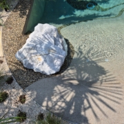 BIO.design Pool Muri