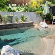 BIO.design Pool Schwarzenburg