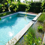 Biopool Niederwangen