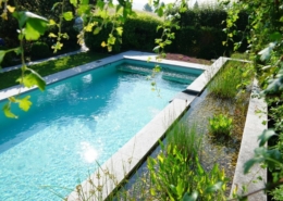 Biopool Niederwangen