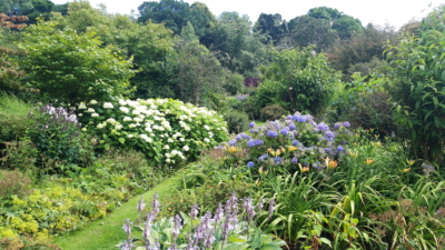 Naturgarten Biodiversität