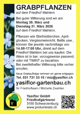 Grabpflege Frühjahr 2026