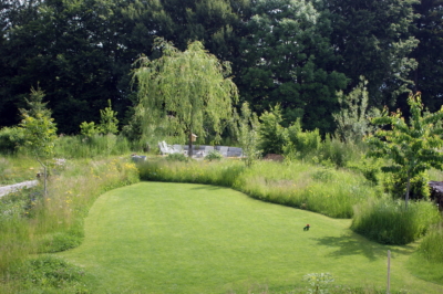 Gartenbau, Gartengestaltung, Yasiflor Rasenrenovation nach Hitzesommer