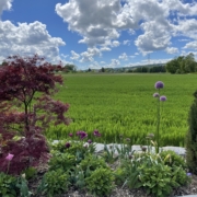 Bepflanzung Gartenbeet