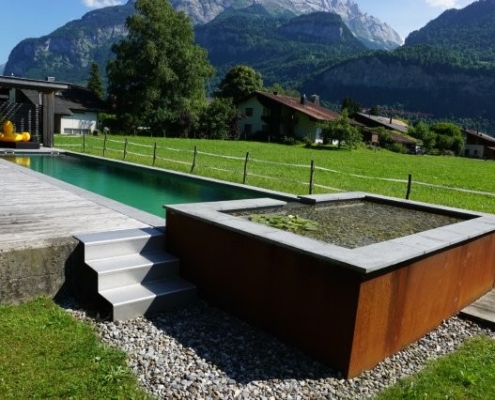 Biopool Naturpool Hilterfingen