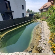 Schwimmteich ohne Technik Ammerzwil