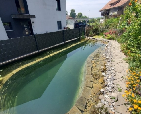 Schwimmteich ohne Technik Ammerzwil