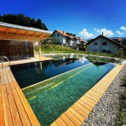 Schwimmteich Naturpool