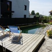 Schwimmteich ohne Technik Ammerzwil