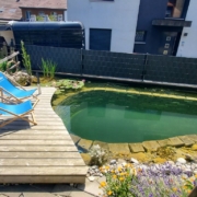 Schwimmteich ohne Technik Ammerzwil