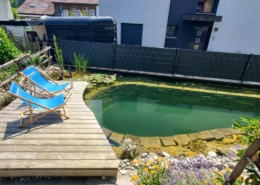 Schwimmteich ohne Technik Ammerzwil