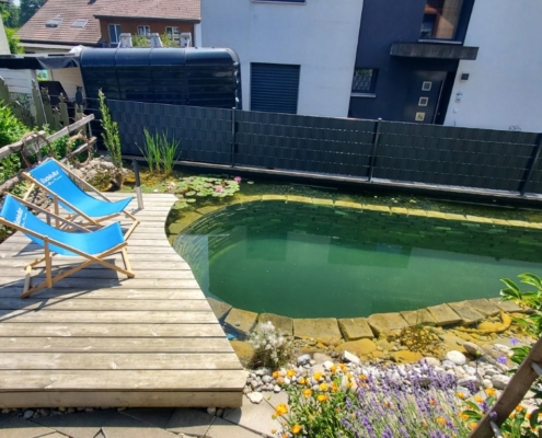 Schwimmteich ohne Technik Ammerzwil