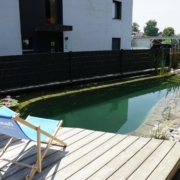 Schwimmteich ohne Technik Ammerzwil