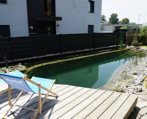 Schwimmteich ohne Technik Ammerzwil