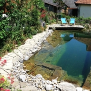Schwimmteich ohne Technik Ammerzwil