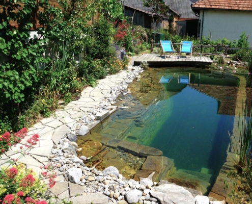 Schwimmteich ohne Technik Ammerzwil