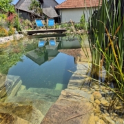 Schwimmteich ohne Technik Ammerzwil
