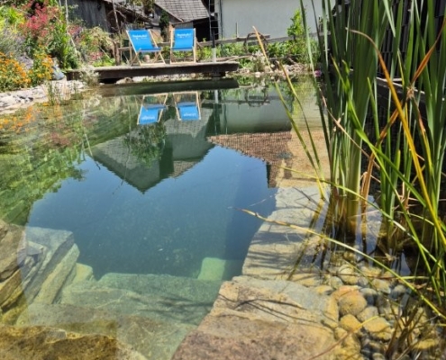 Schwimmteich ohne Technik Ammerzwil