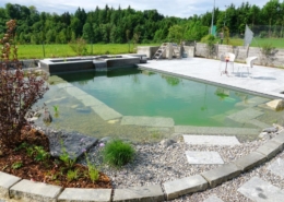 Schwimmteich Bösingen