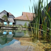 Schwimmteich ohne Technik Ammerzwil