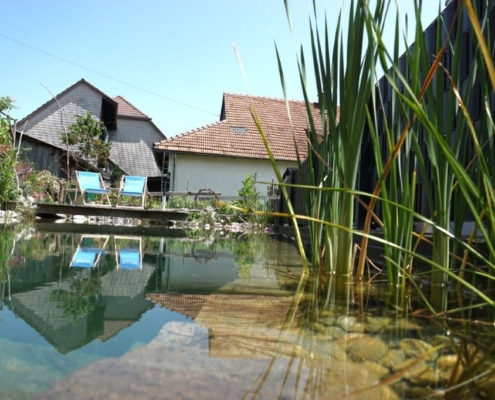 Schwimmteich ohne Technik Ammerzwil
