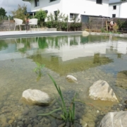 Schwimmteich_Fribourg_Naturpool (1)