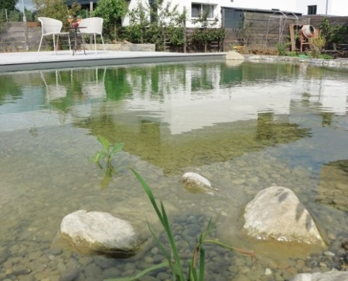 Schwimmteich_Fribourg_Naturpool (1)