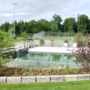 Schwimmteich_Fribourg_Naturpool (11)