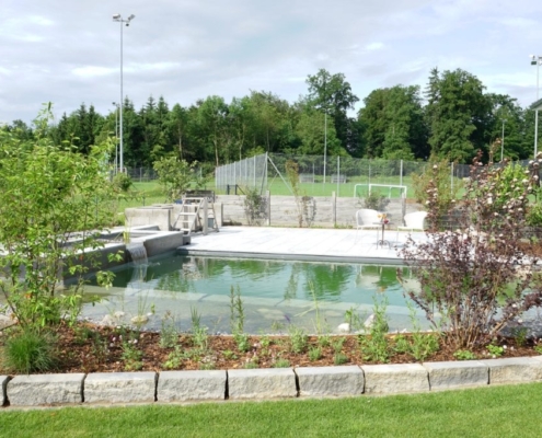 Schwimmteich_Fribourg_Naturpool (11)