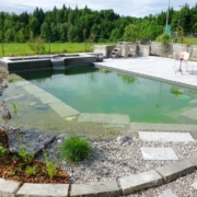Schwimmteich_Fribourg_Naturpool (12)