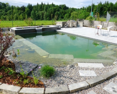 Schwimmteich_Fribourg_Naturpool (12)