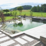 Schwimmteich_Fribourg_Naturpool (14)