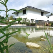 Schwimmteich_Fribourg_Naturpool (3)