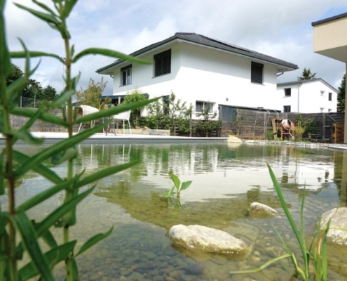 Schwimmteich_Fribourg_Naturpool (3)