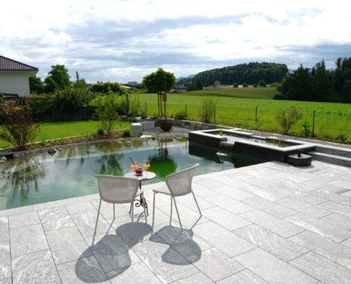 Schwimmteich_Fribourg_Naturpool (4)