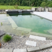 Schwimmteich_Fribourg_Naturpool (6)