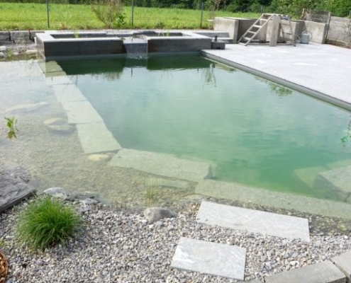Schwimmteich_Fribourg_Naturpool (6)