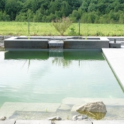 Schwimmteich_Fribourg_Naturpool (9)