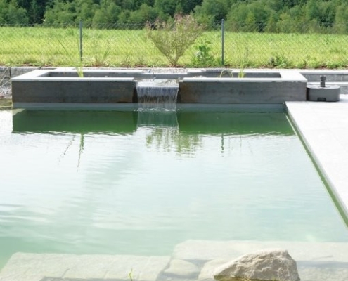 Schwimmteich_Fribourg_Naturpool (9)