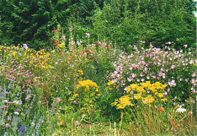 Nauturgarten Yasiflor GmbH