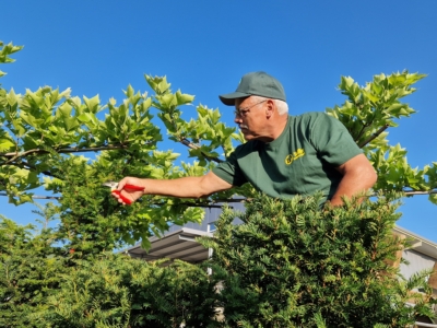 Yasiflor Gartenpflege Unterhaltsarbeiten